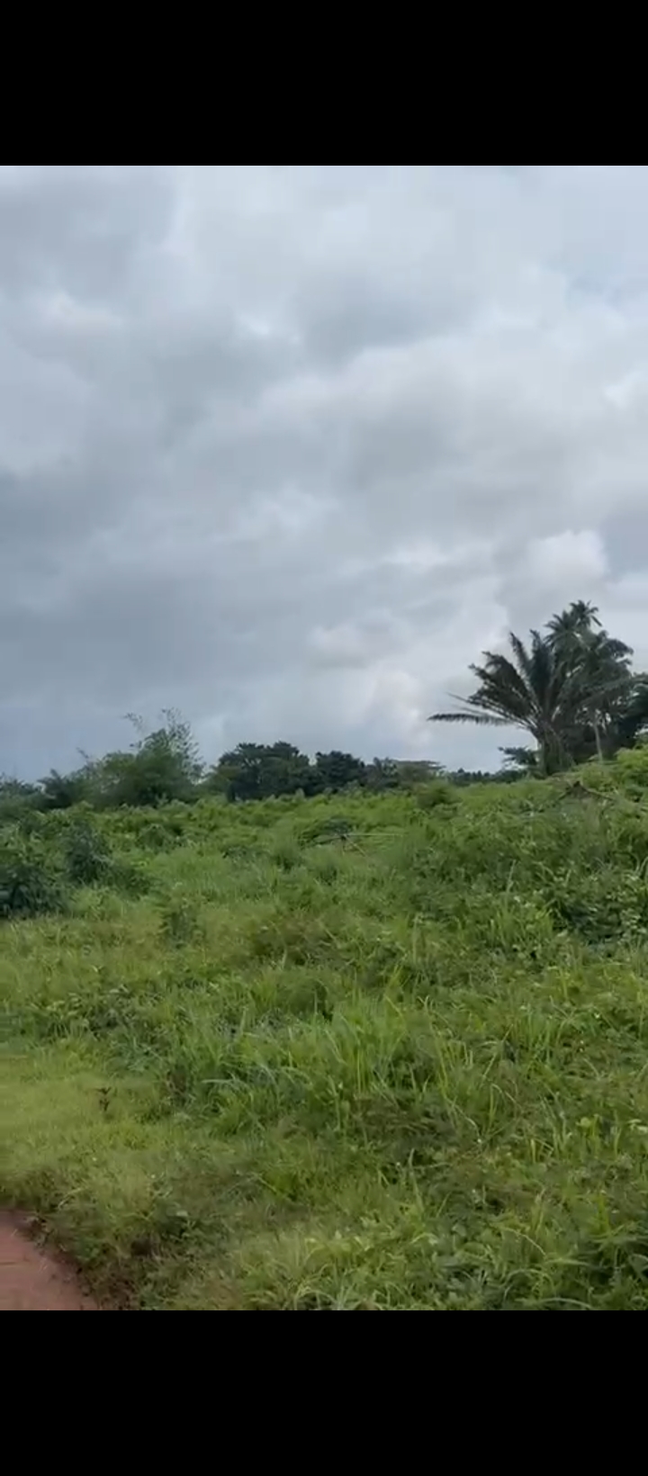 Land for Sale in Ekiadolor, Edo cover picture