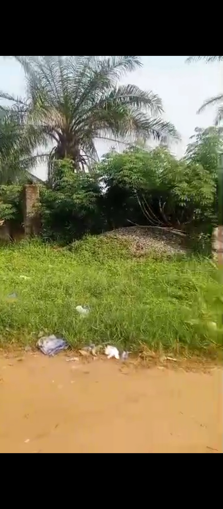 Land for Sale in Ogunwenyin waec road off ugbor central Benin city., Edo cover picture