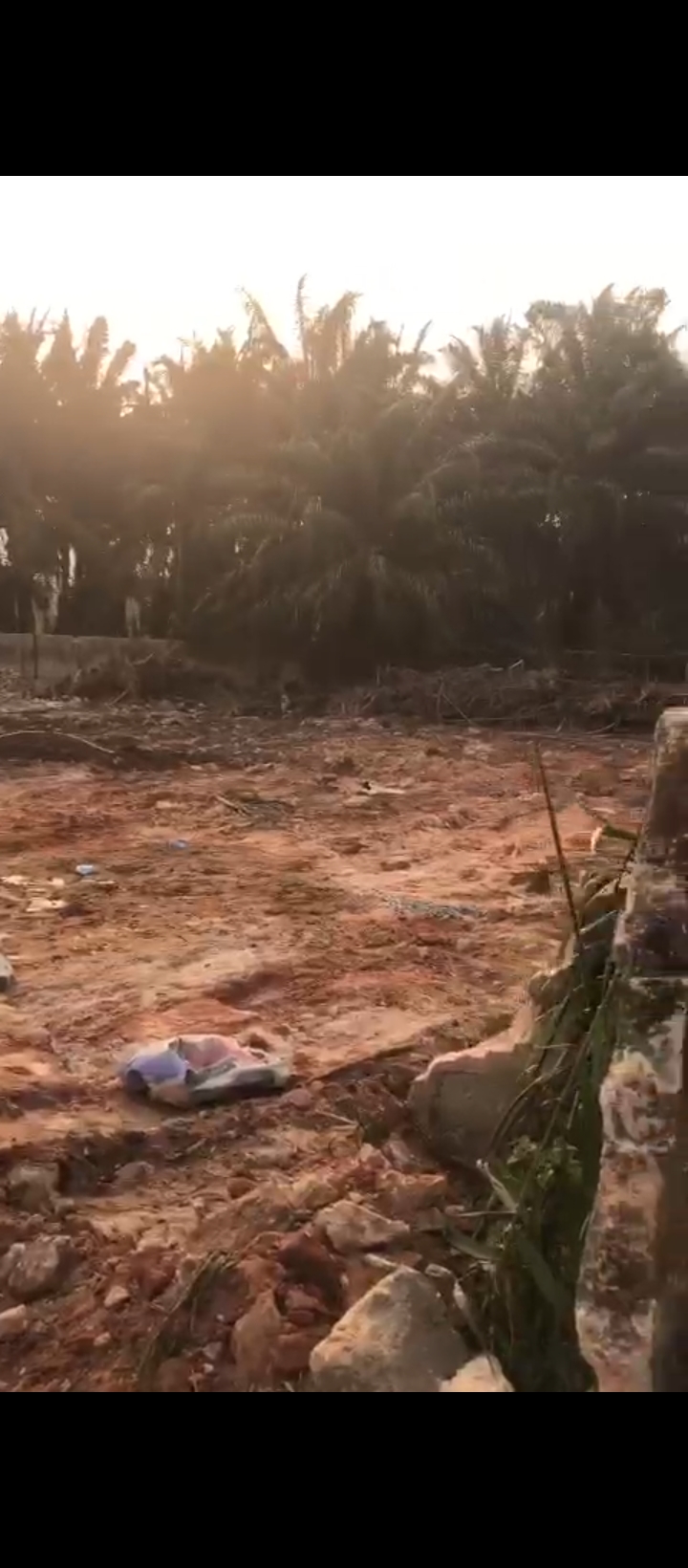 Land for Sale in falanu, off Country Home Road, Edo cover picture