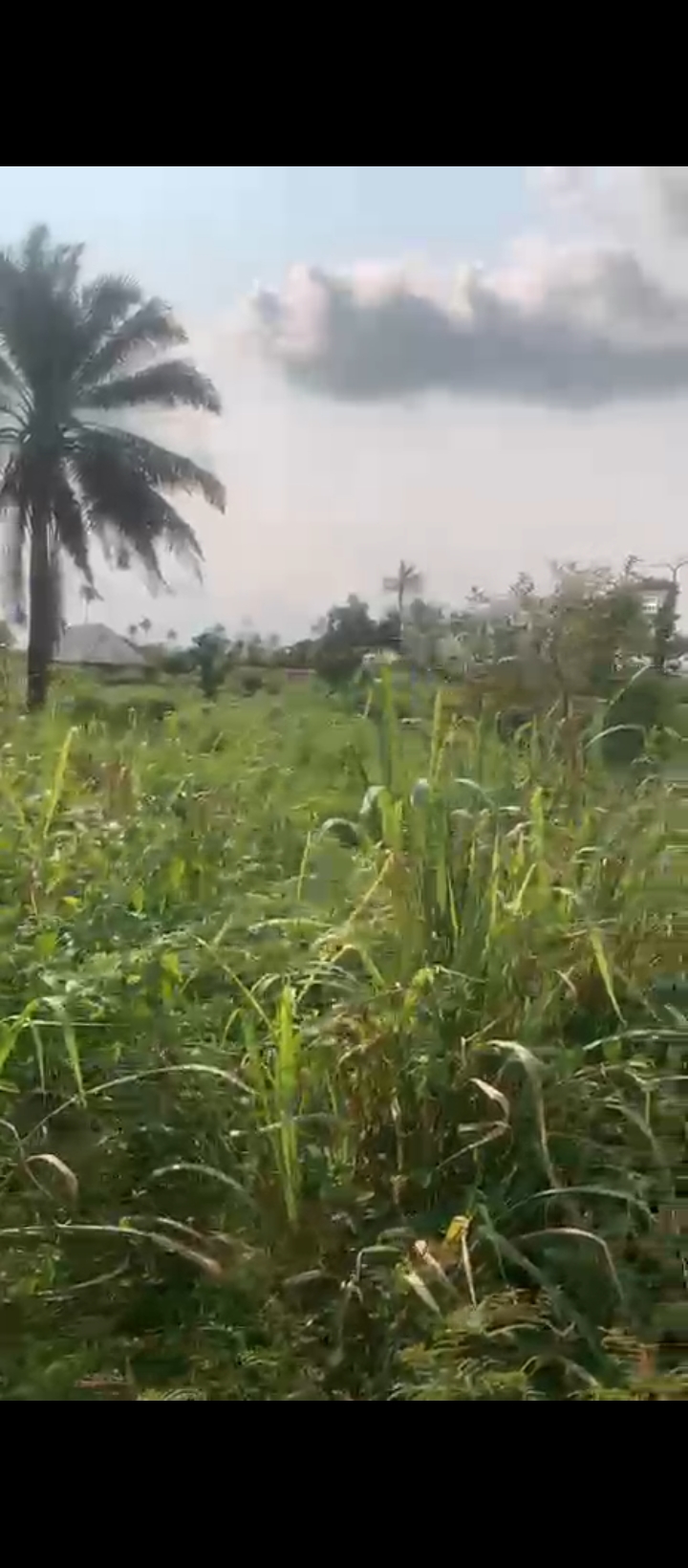 Land for Sale in Okezi Community Upper Ekenwan Road, Edo cover picture