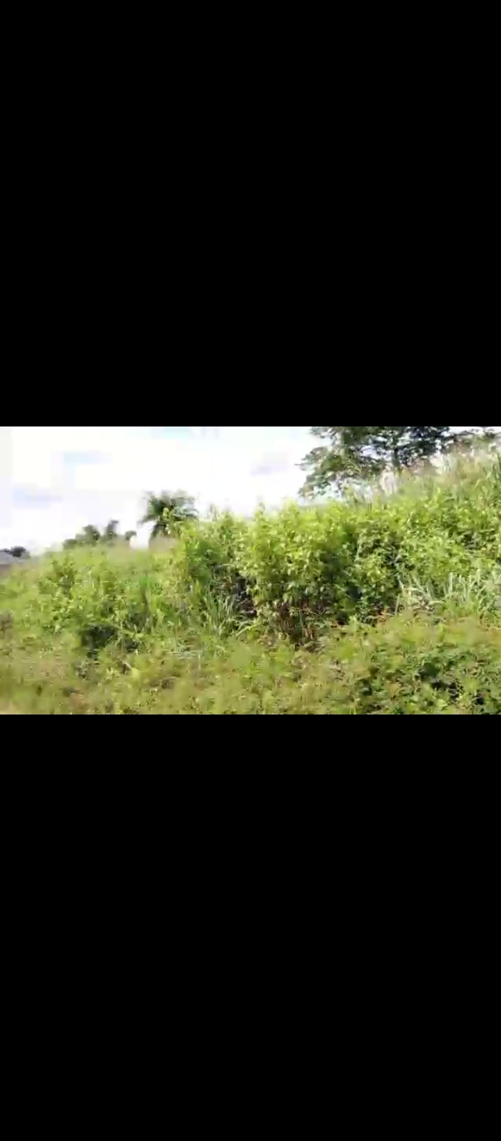 Land in Uwo community phase 2 Edo cover picture