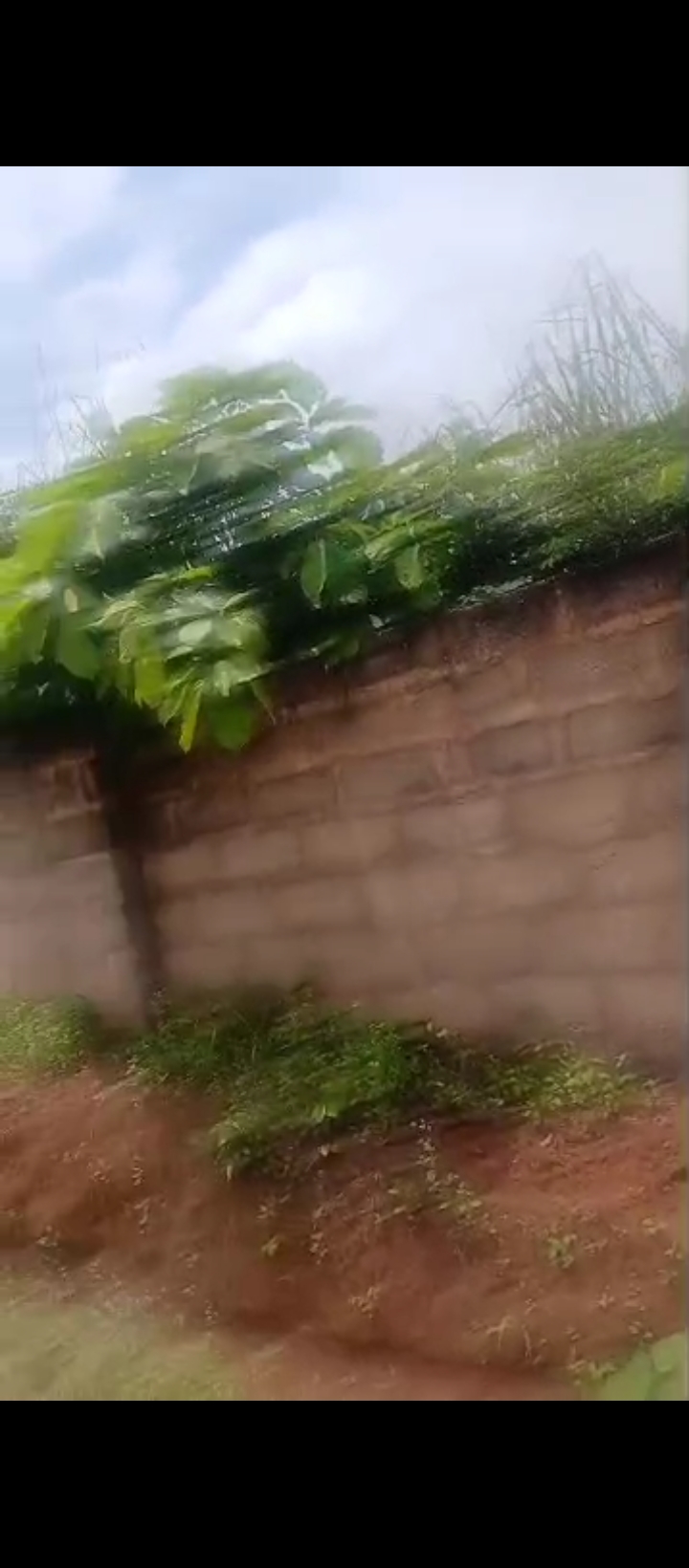 Land for Sale in Ogunmwenyi Ugbor, Edo cover picture