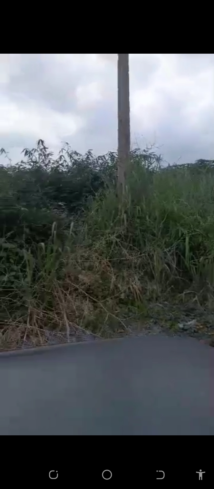 Land for Sale in EVBUODIA road after the bridge airport, Edo cover picture