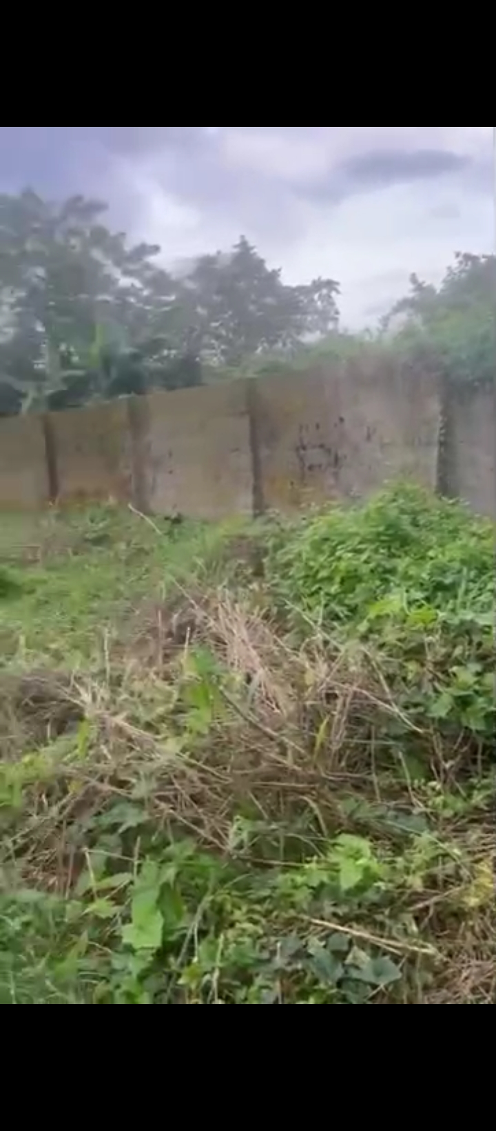 Land for Sale in IrhiriBenin city, Edo cover picture