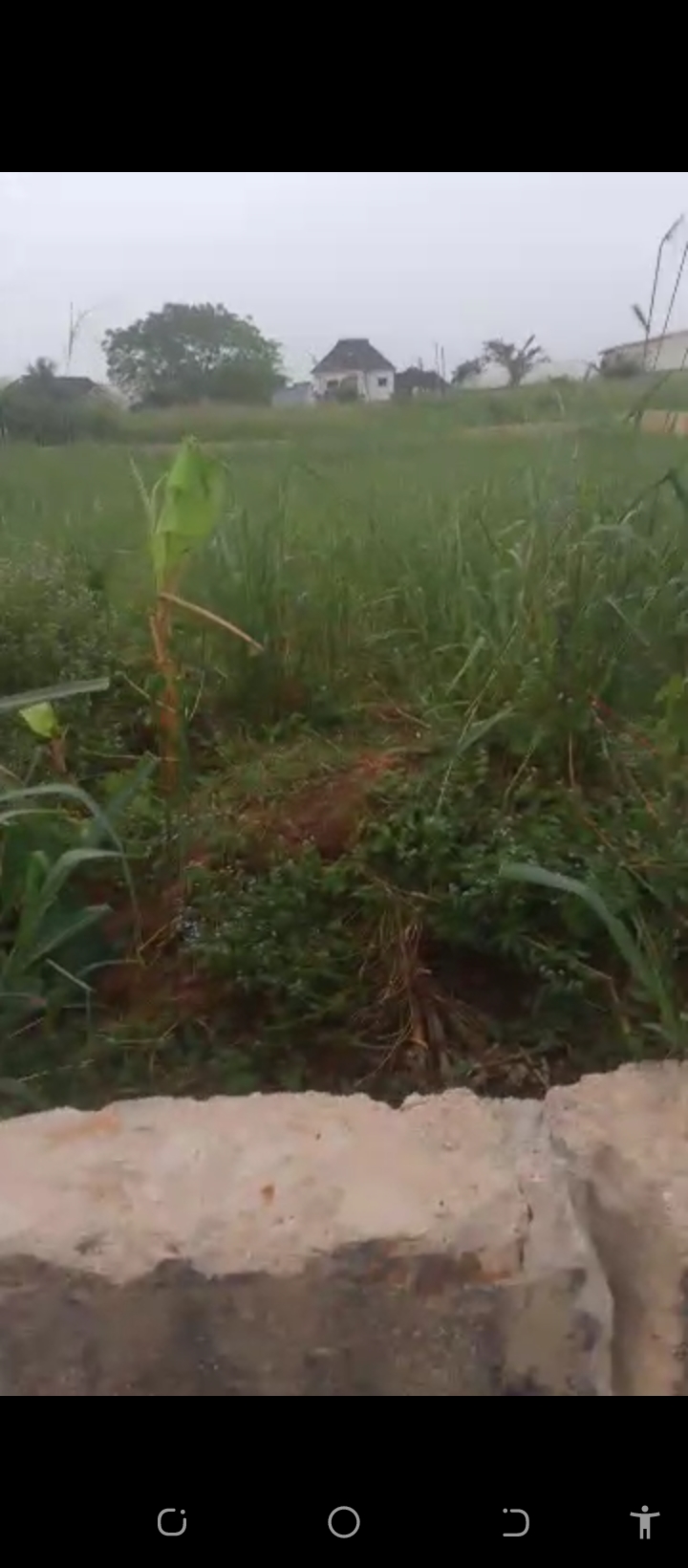 Land for Sale in Amagba GRA, Edo cover picture