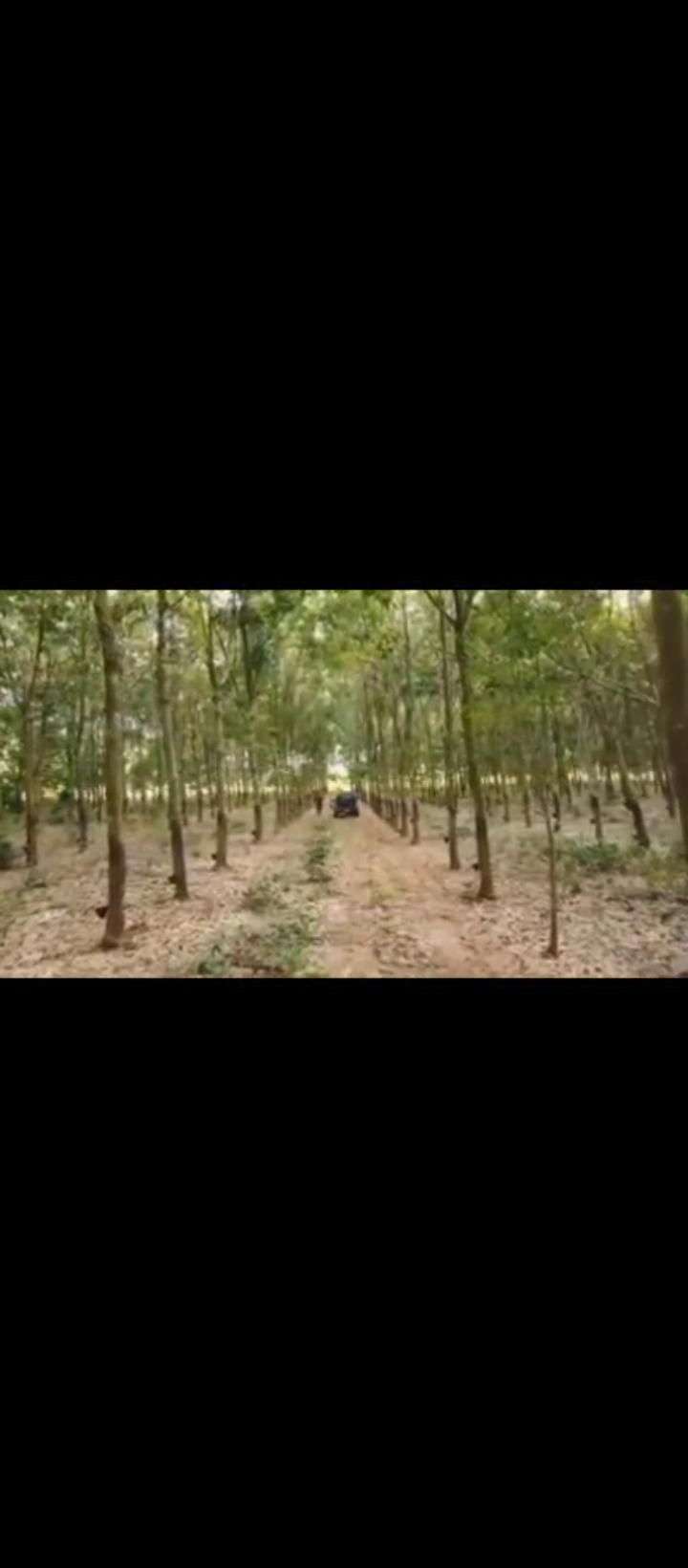 Land for Sale in after Iguoriakhi, Benin City, Edo cover picture