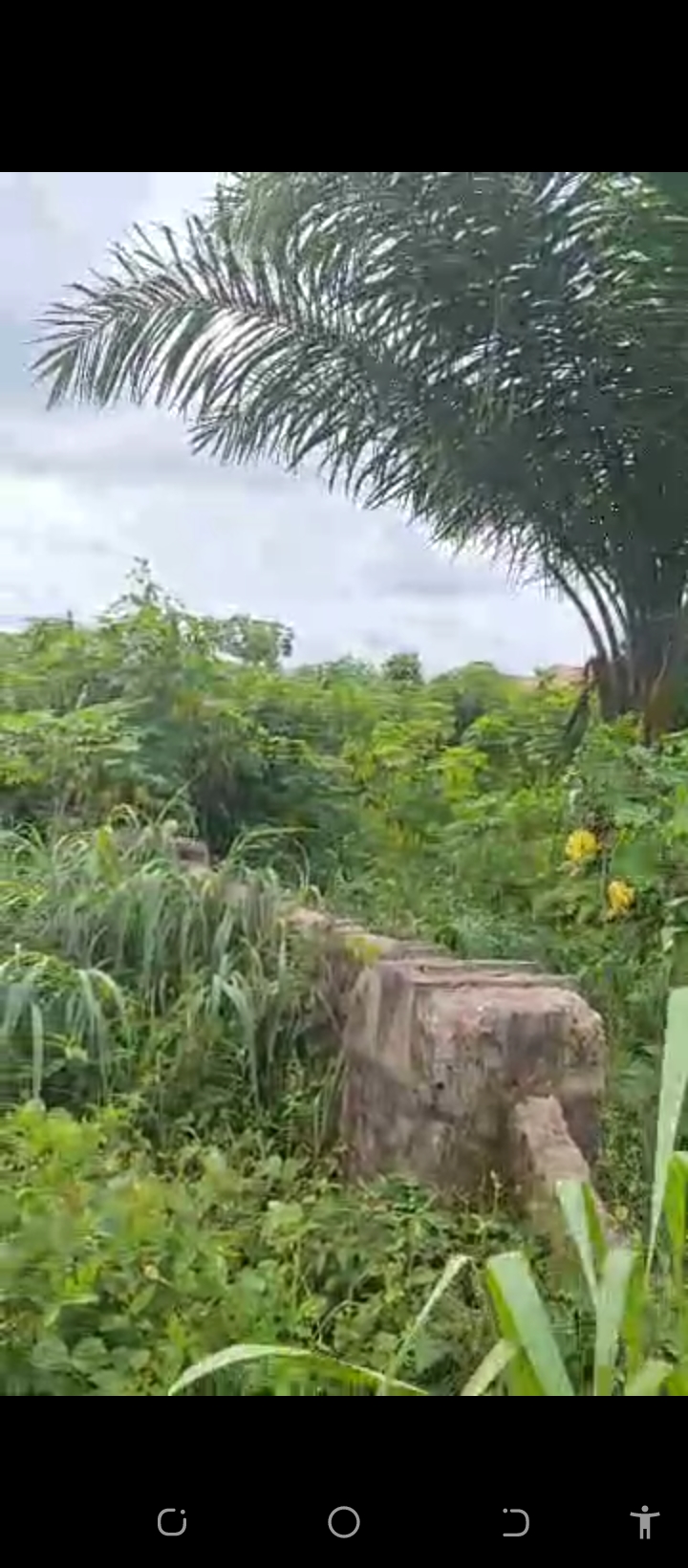 Land for Sale in Amagba GRA, Edo cover picture