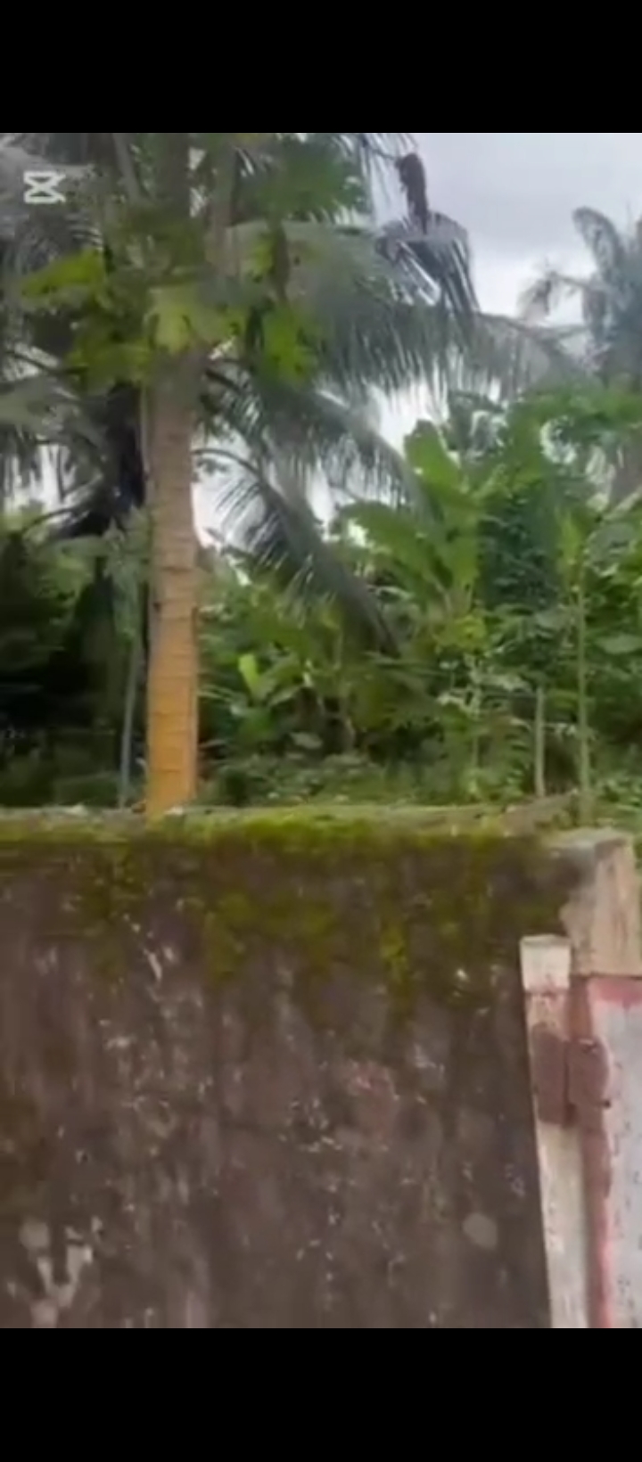 Land for Sale in OGIESOBA/OYAIDE Benin city, Edo cover picture