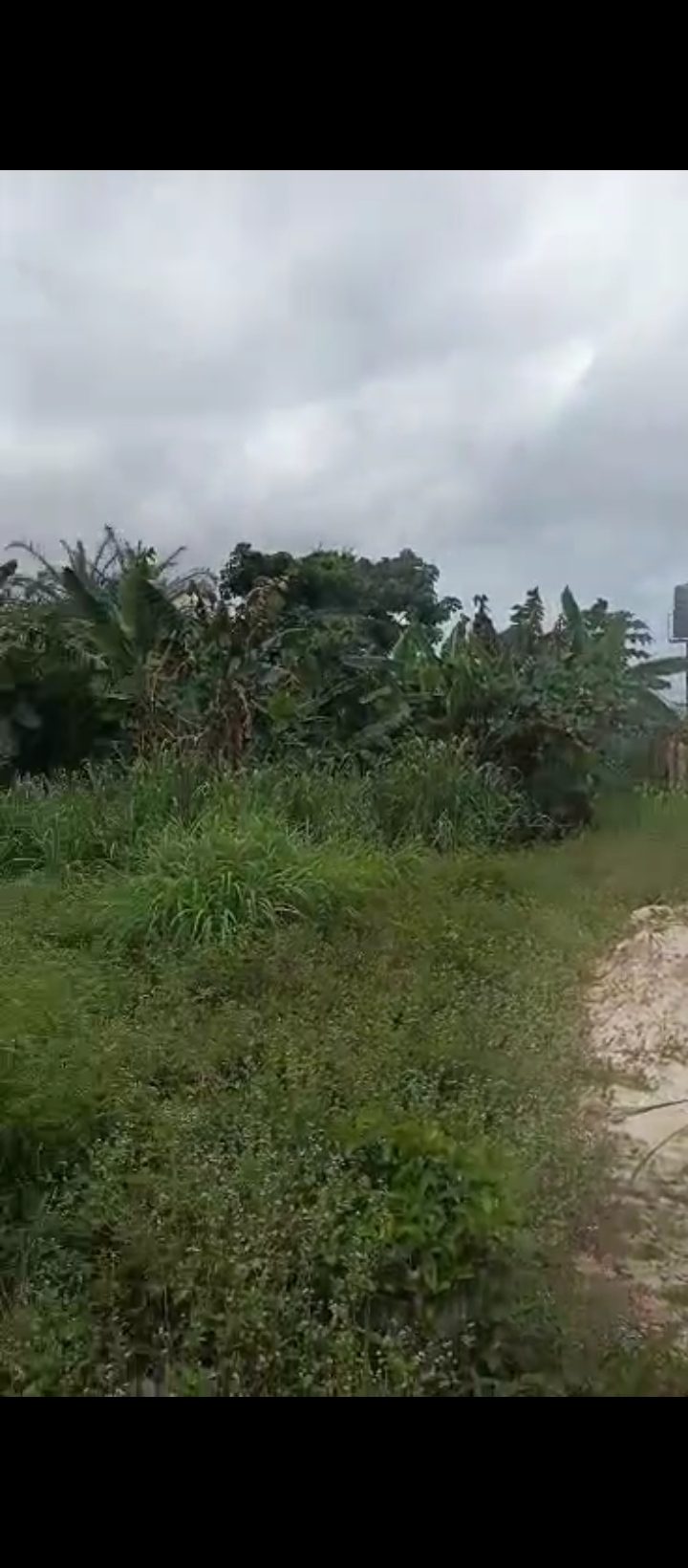 Land for Sale in Ugbor Benin city, Edo cover picture