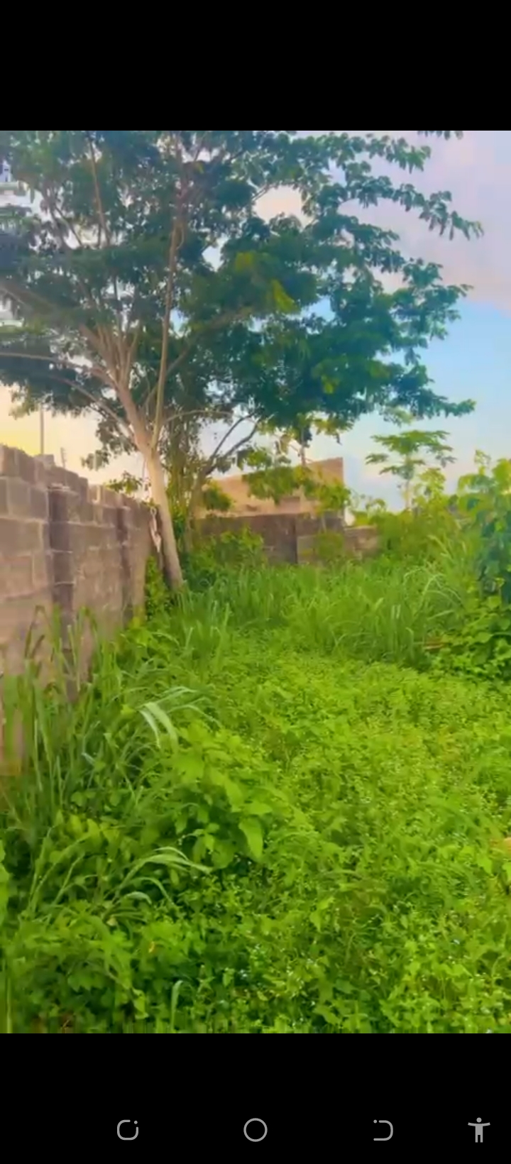 Land for Sale in Benin city, Edo cover picture