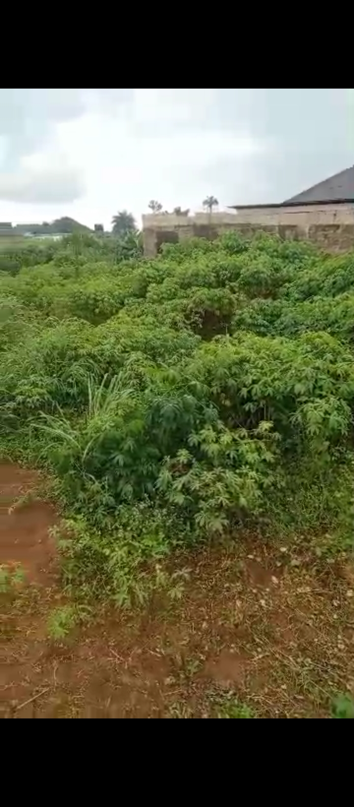 Land for Sale in Urhoho community Benin city, Edo cover picture