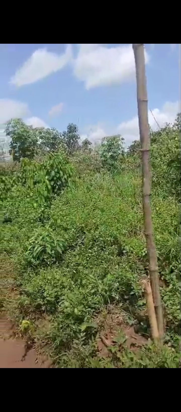 Land for Sale in Oholor Benin city, Edo cover picture