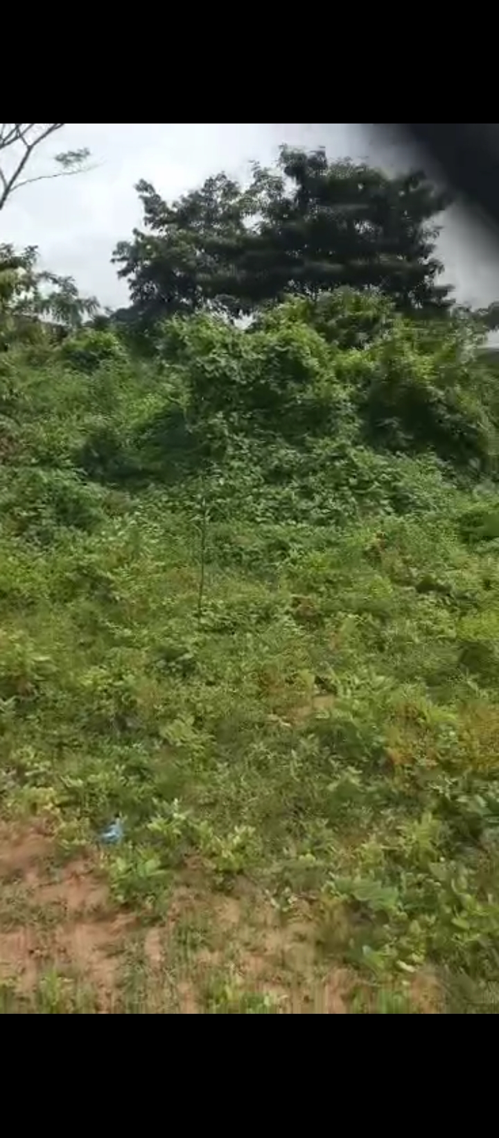 Land in Off Ohen Road Okhoromi off airport road Benin city. Edo cover picture