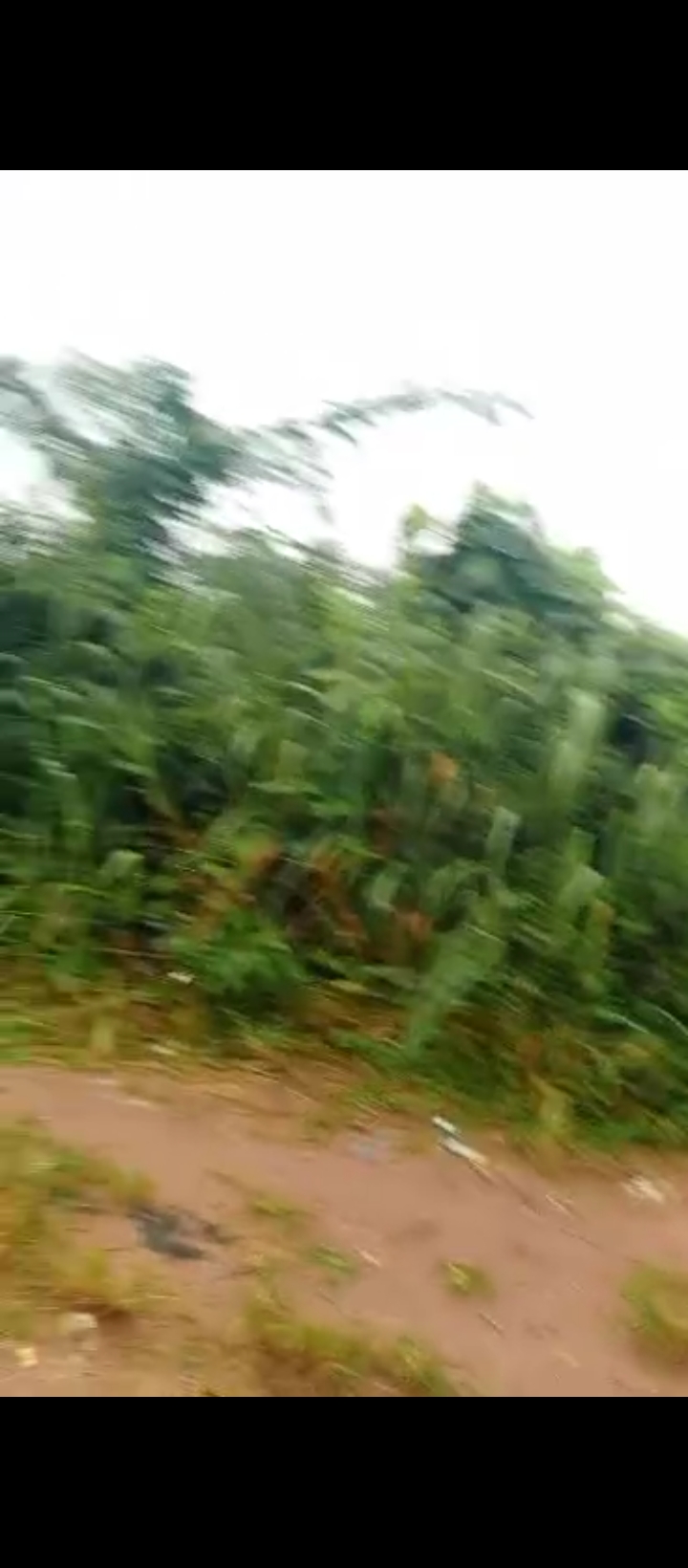 Land for Sale in Benin city, Edo cover picture
