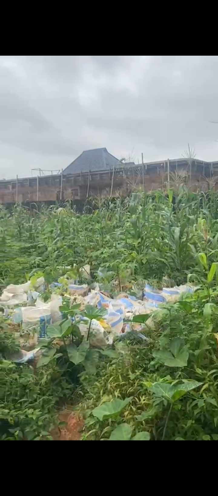 Land for Sale in Amagba GRA, Edo cover picture