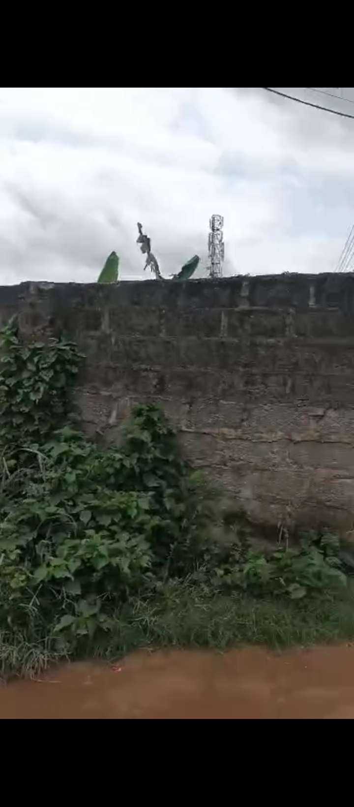 Land for Sale in Ogunwenyin waec road off ugbor central Benin city., Edo cover picture