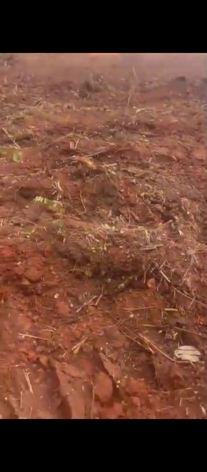 Land for Sale in Iyowa community, Edo cover picture