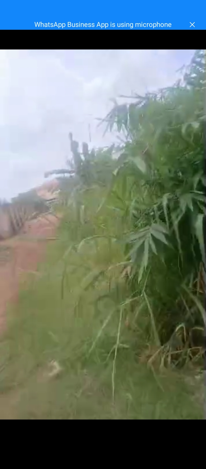 Land for Sale in Off Airport Rd Back of O L A Sch, Opposite Market Square at Arougba Benin City.., Edo cover picture