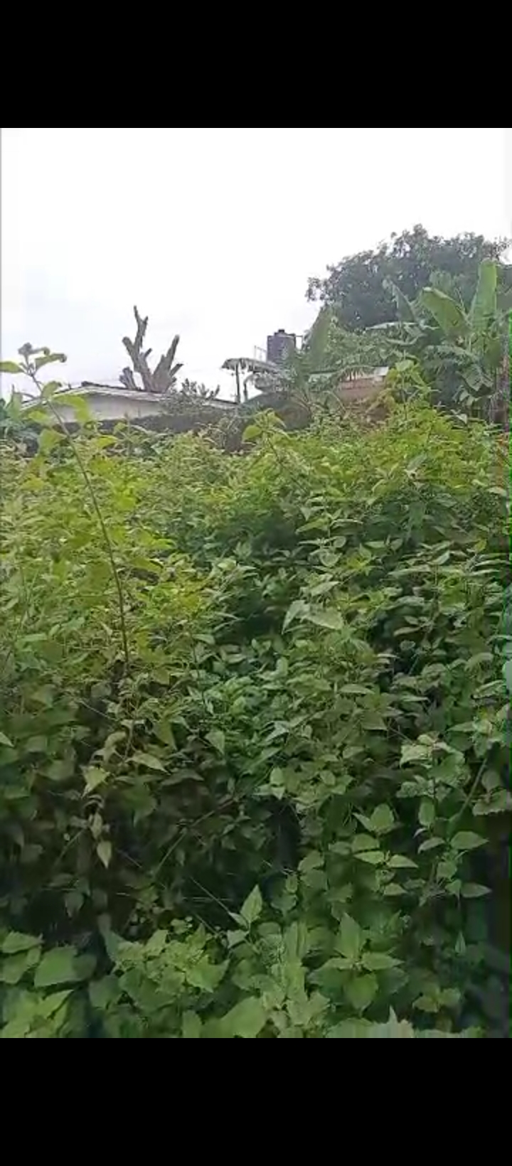Land for Sale in Benin city, Edo cover picture