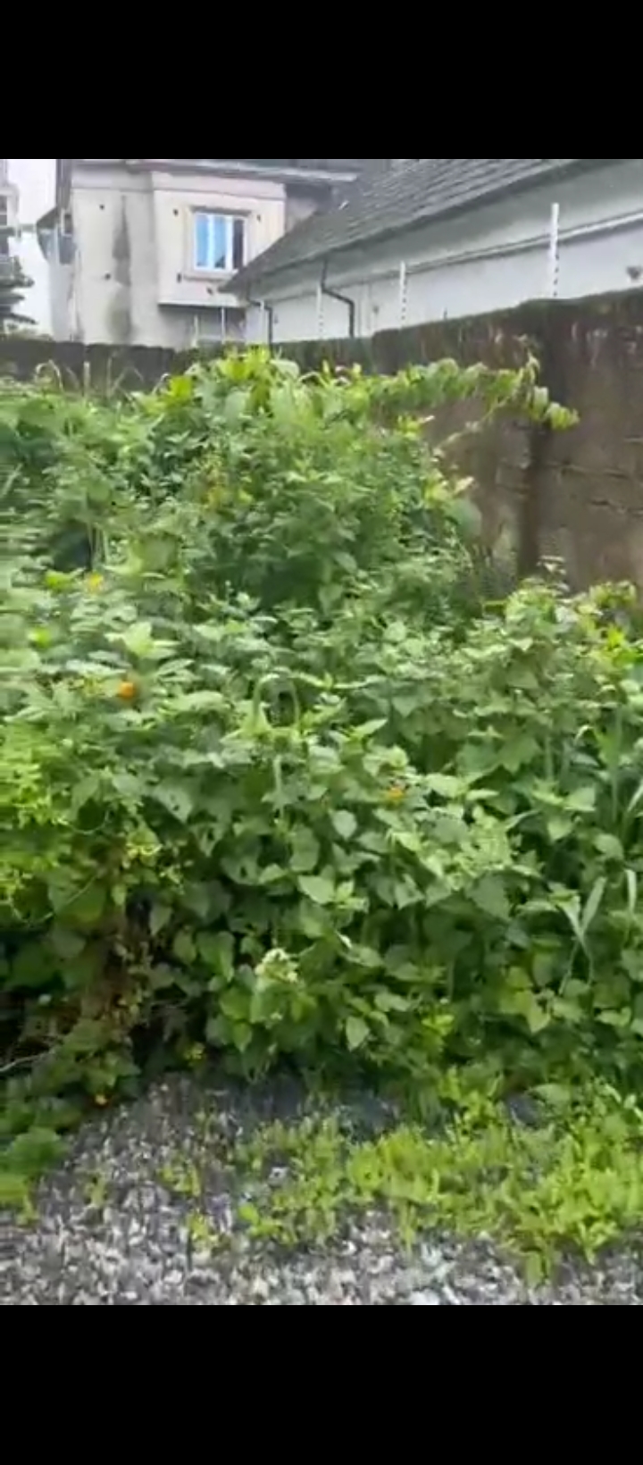 Land for Sale in Ugbor Benin city, Edo cover picture