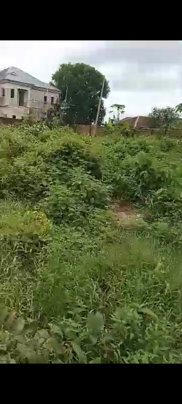 Land for Sale in Elelenwo, Rivers cover picture