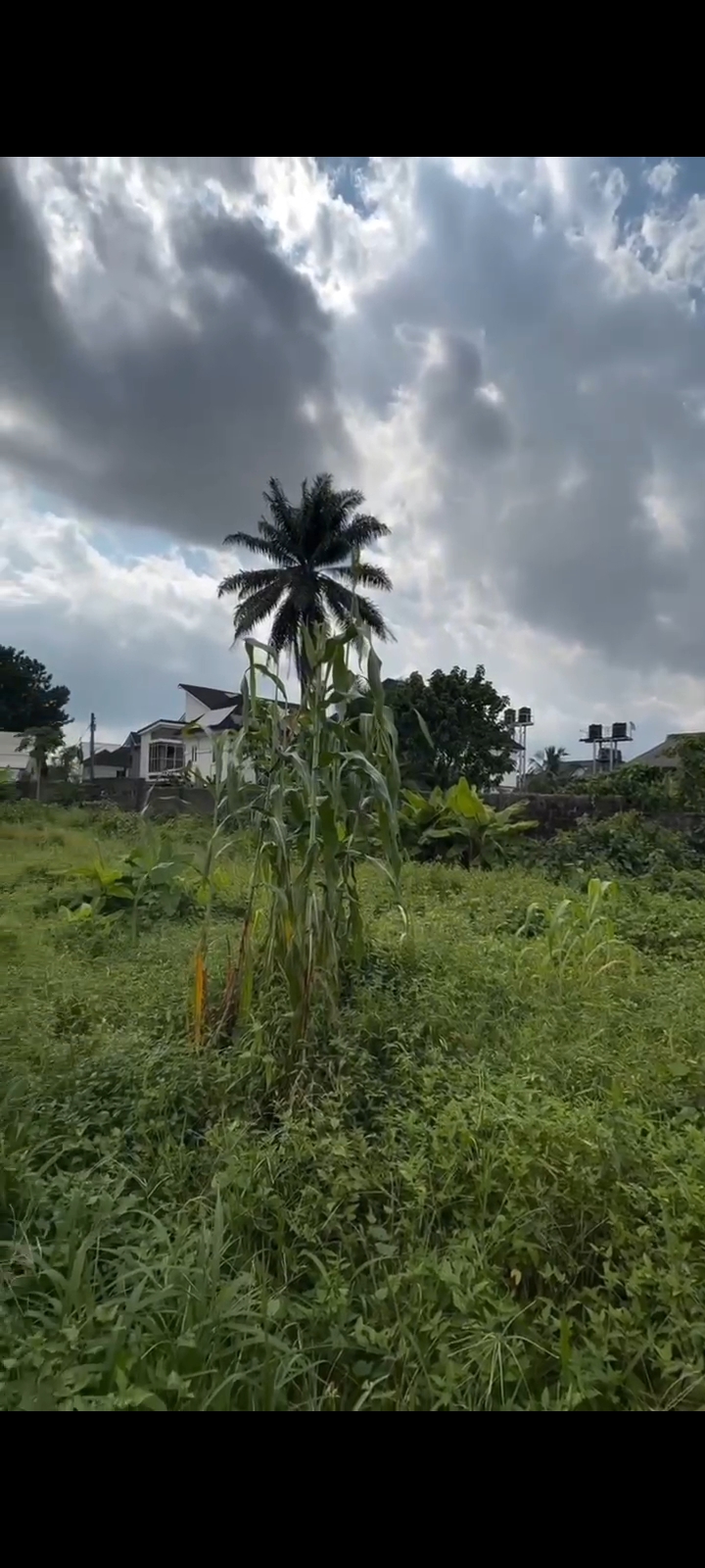 Land for Sale in Oasis Gardens Estate,  Rukpakulusi,, Rivers cover picture