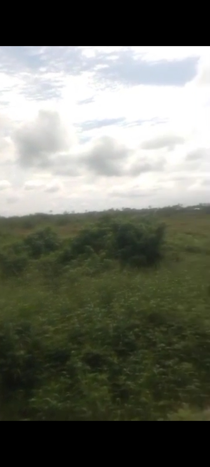 Land for Sale in Rukpoku, Rivers cover picture