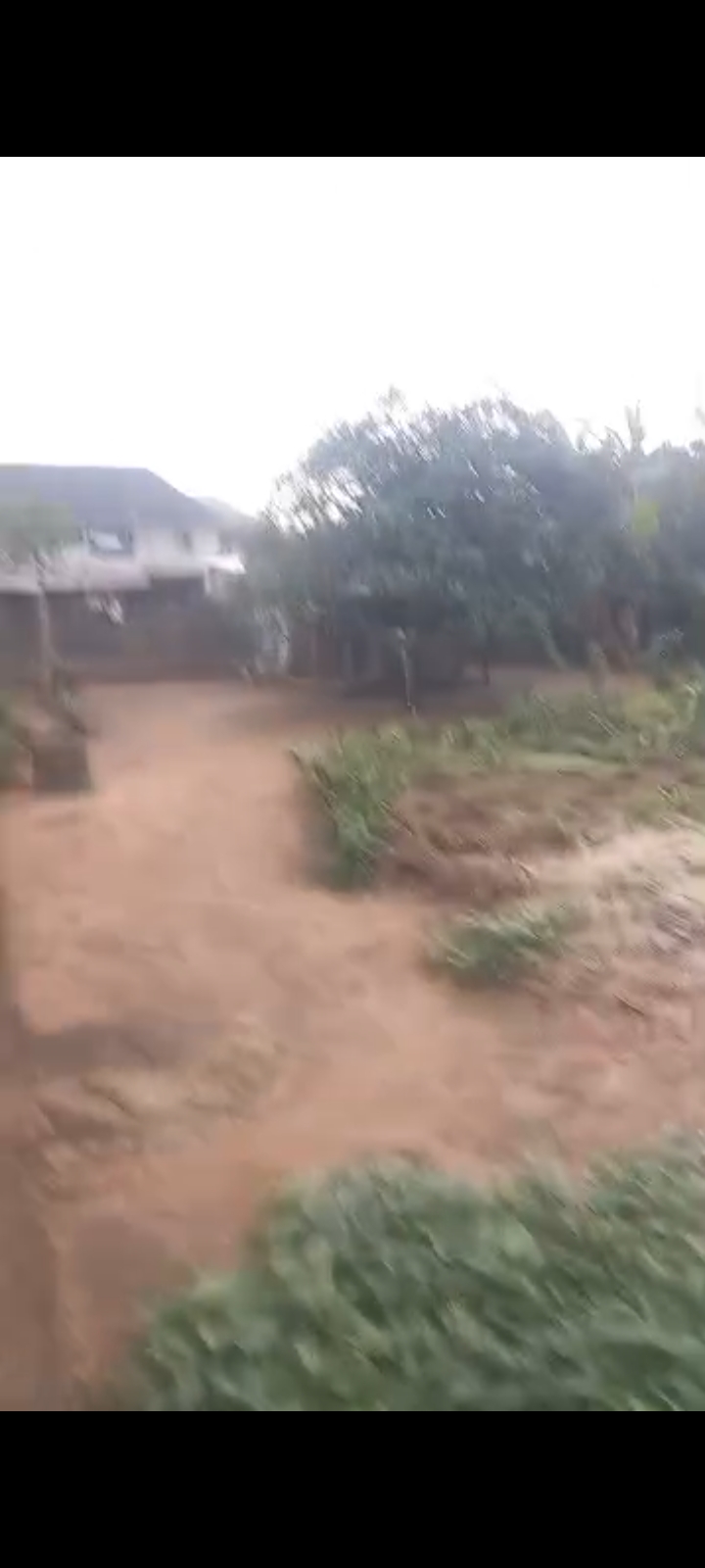 Land for Sale in obirikwere junction by open university NTA, Rivers cover picture