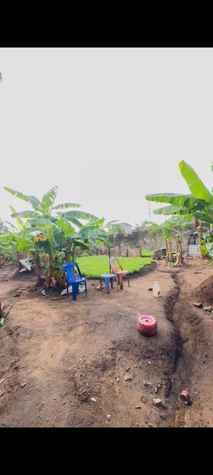 Land for Sale in NEW RD ADA GEORGE, Rivers cover picture