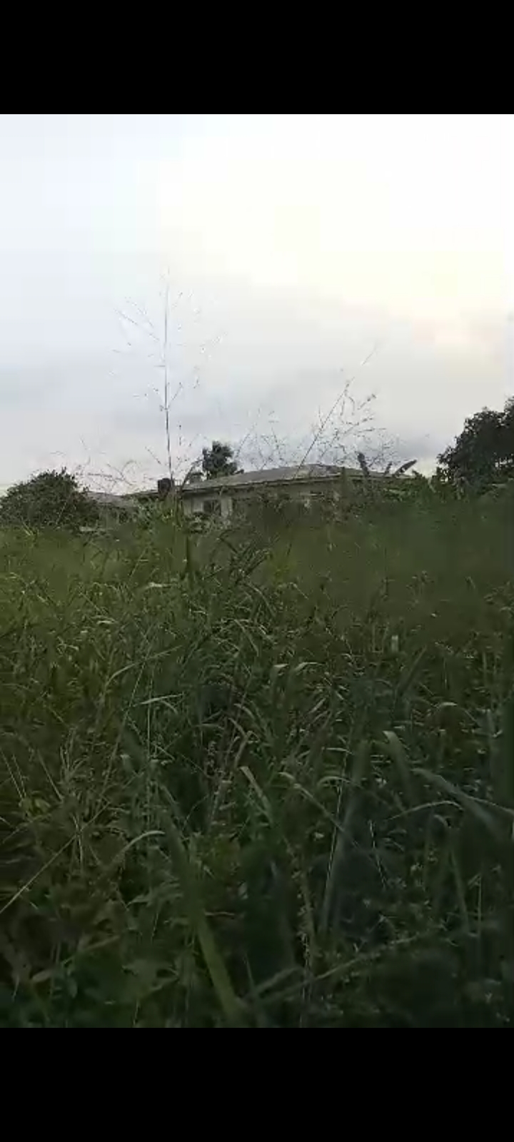 Land for Sale in Elelenwo, Rivers cover picture