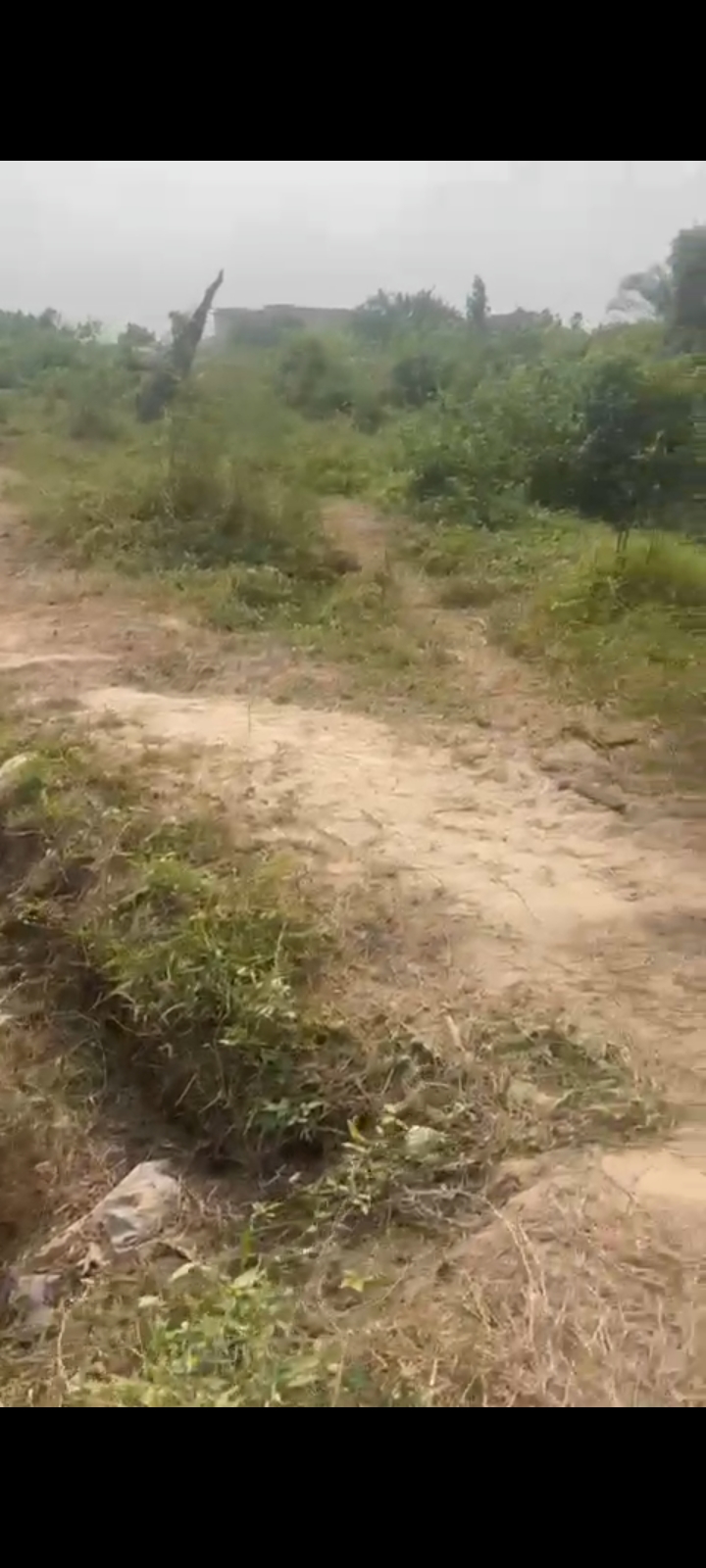 Land for Sale in Cedarwood Estate, Rivers cover picture