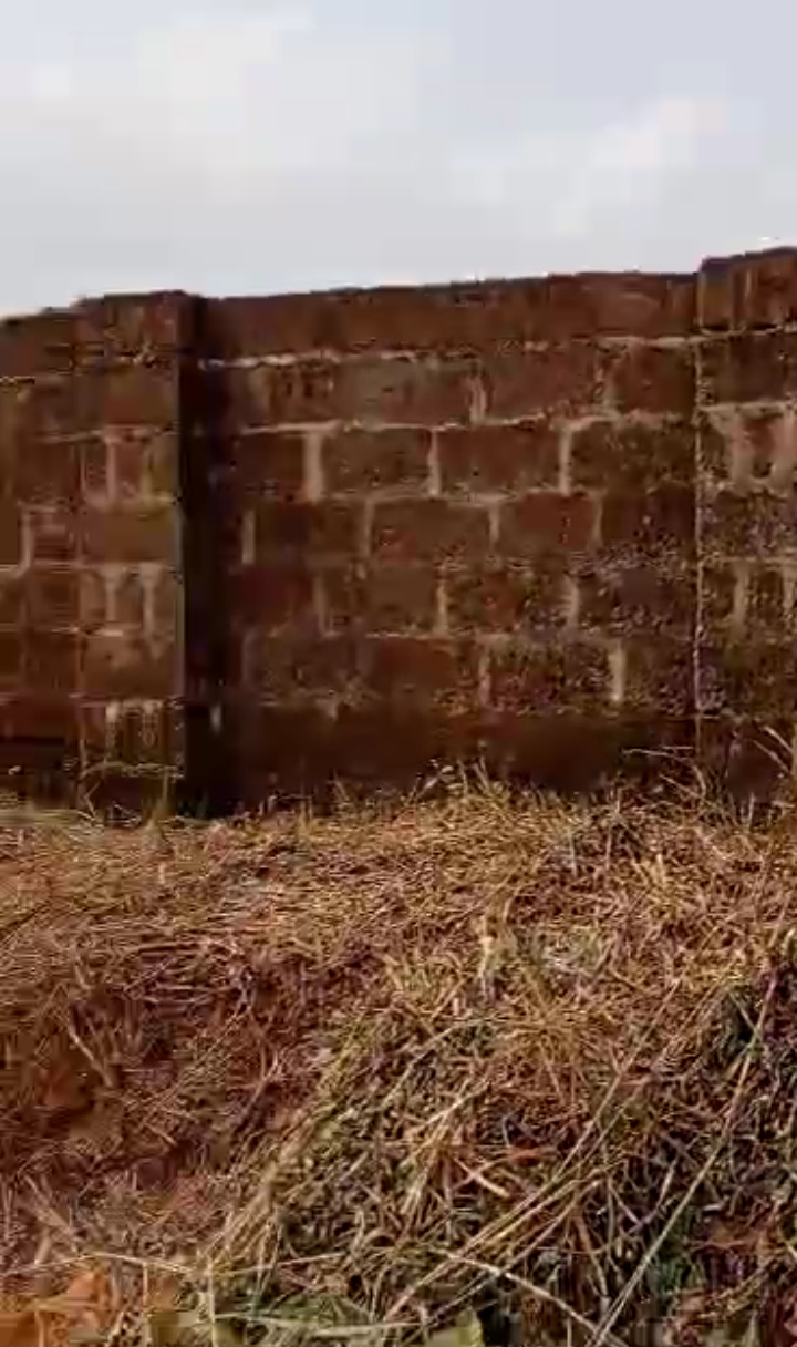 Land for Sale in peanut, Edo cover picture