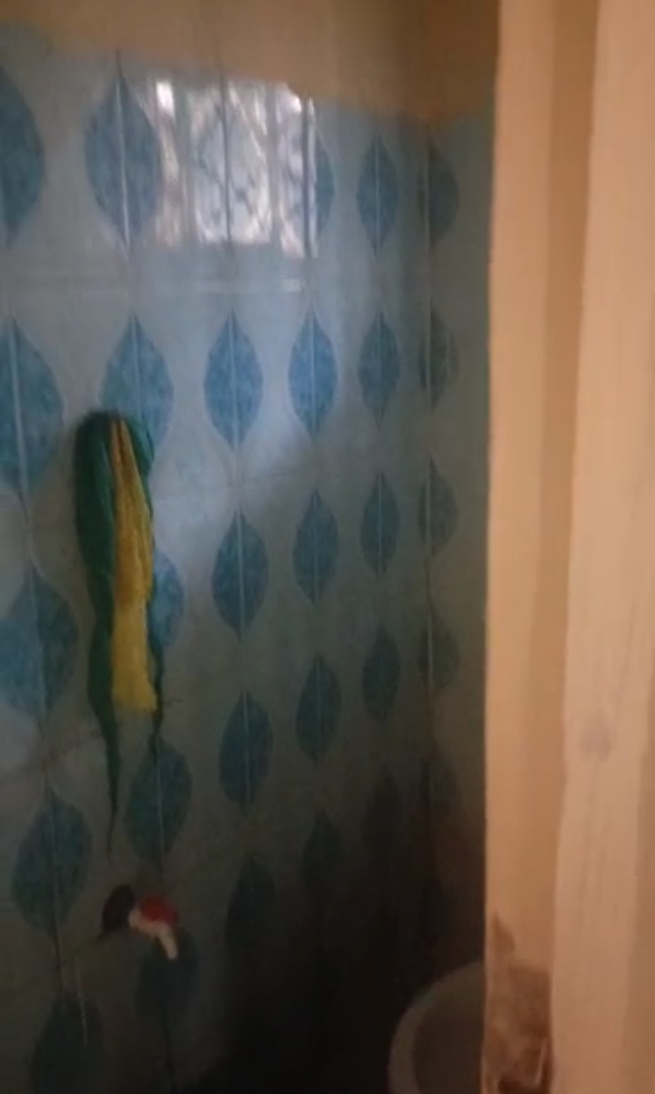 SelfContain for Rent in Peanut road off Sapele road Benin city, Edo cover picture