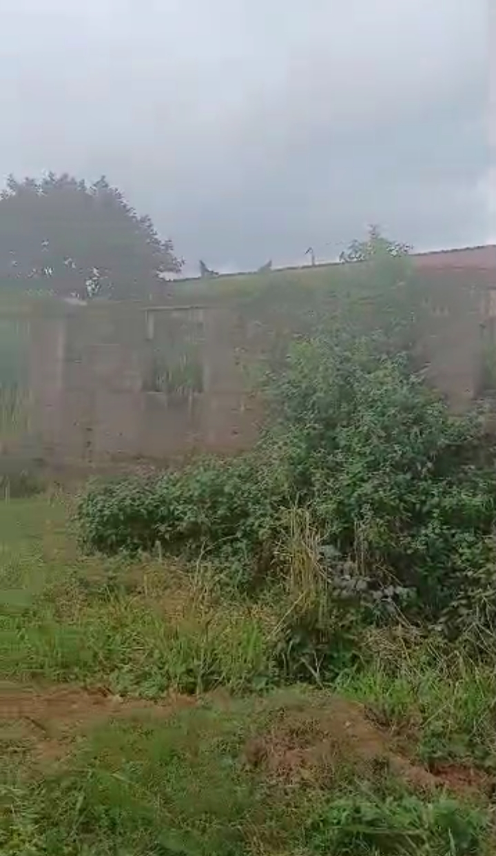 Land for Sale in Amenze street, Abuja Quarters GRA, Edo cover picture