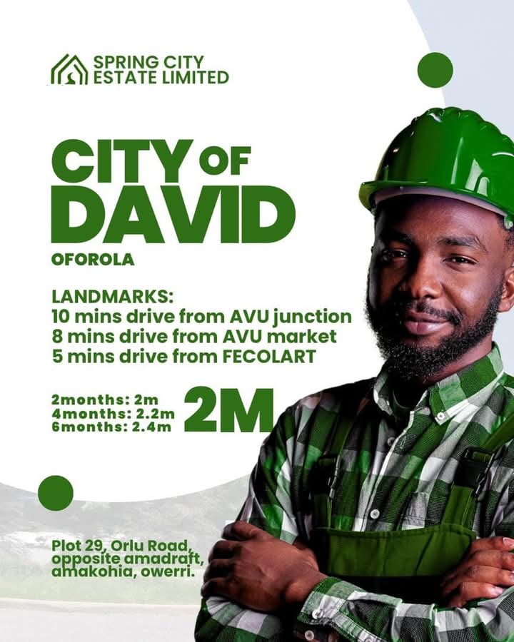 City David cover picture