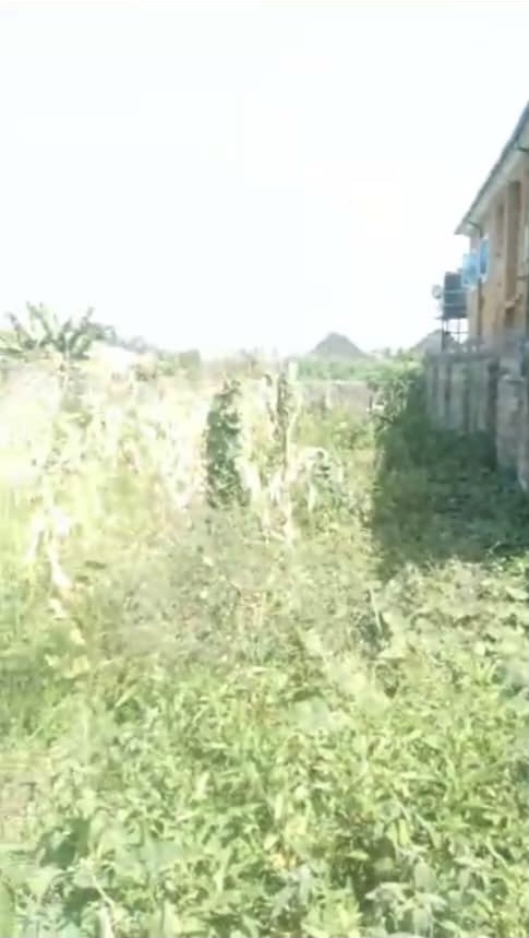 Land for Sale in Okpanam, Delta cover picture