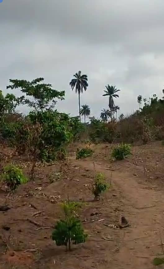 Land for Sale in Across City Gate, Delta cover picture