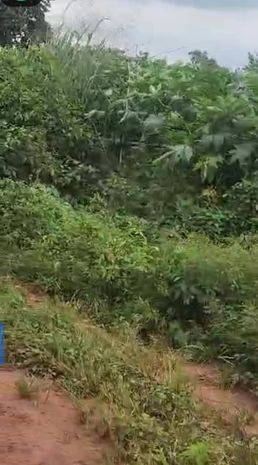 Land in Asaba Delta cover picture