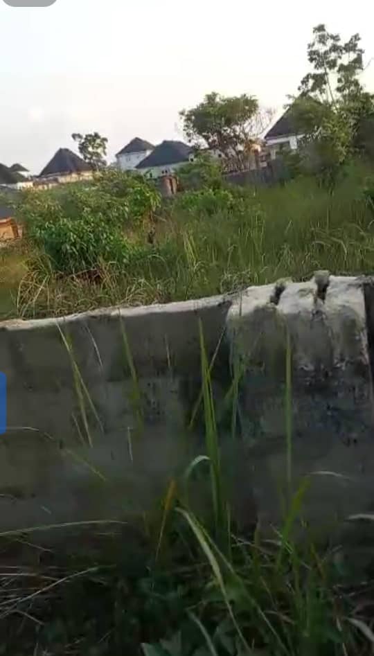 Land for Sale in Okpanam, Delta cover picture