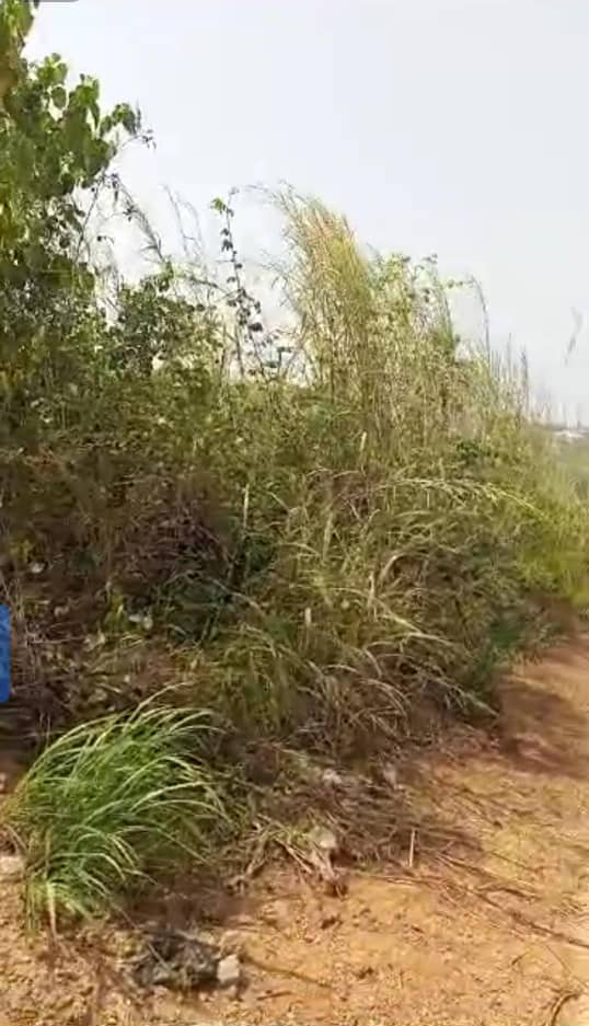 Land for Sale in Asaba, Delta cover picture