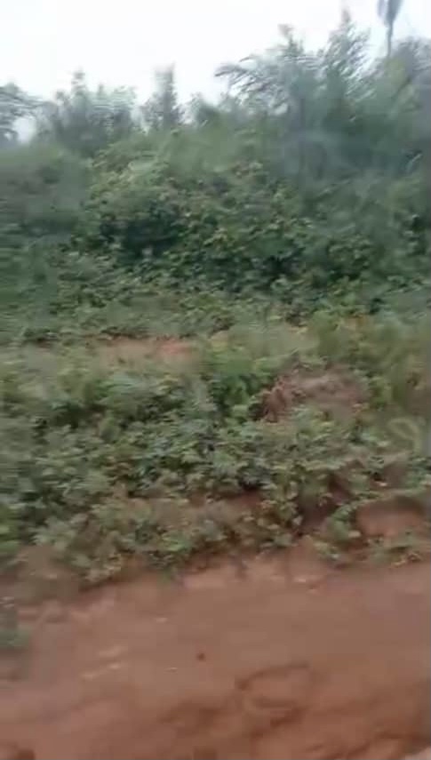 Land for Sale in Asaba, Delta cover picture