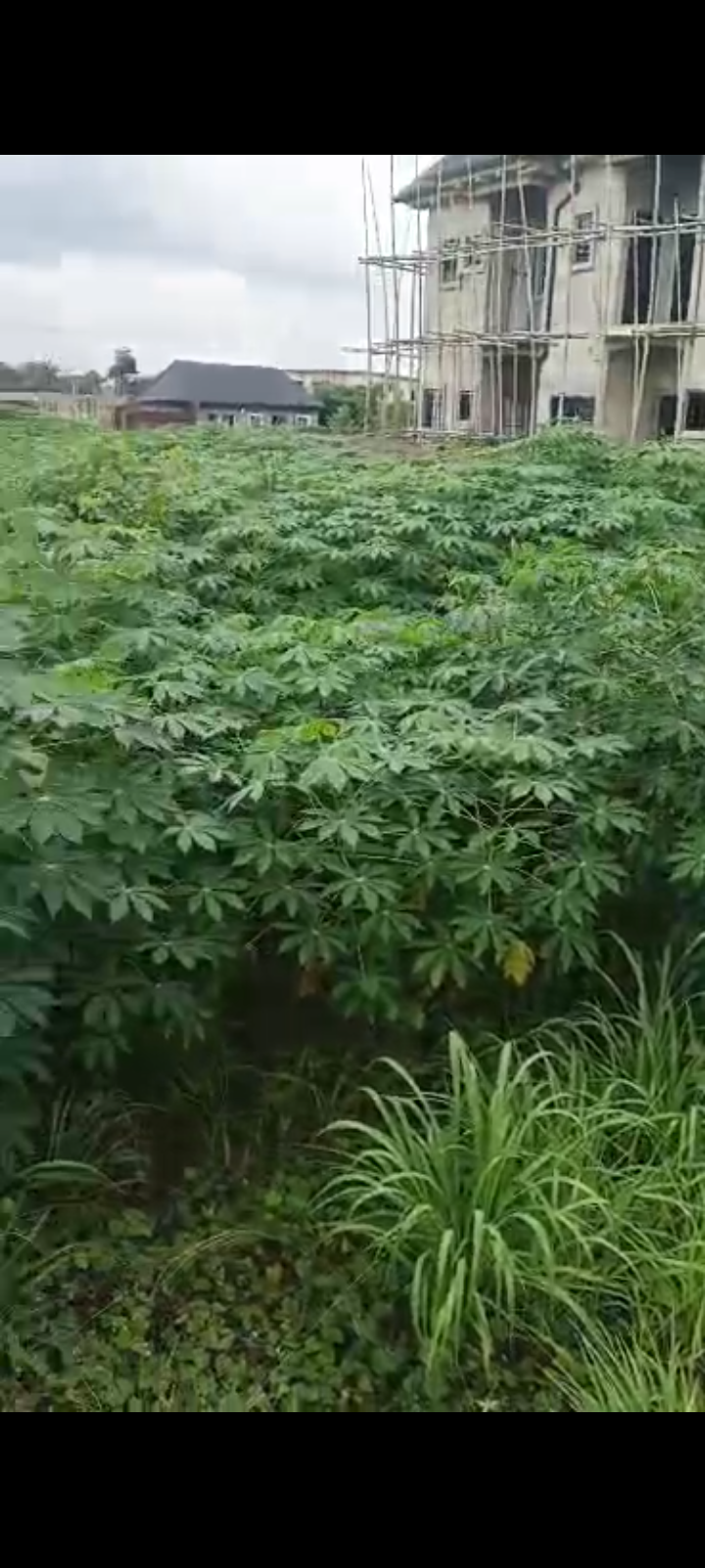 Land for Sale in Asaba, Delta cover picture