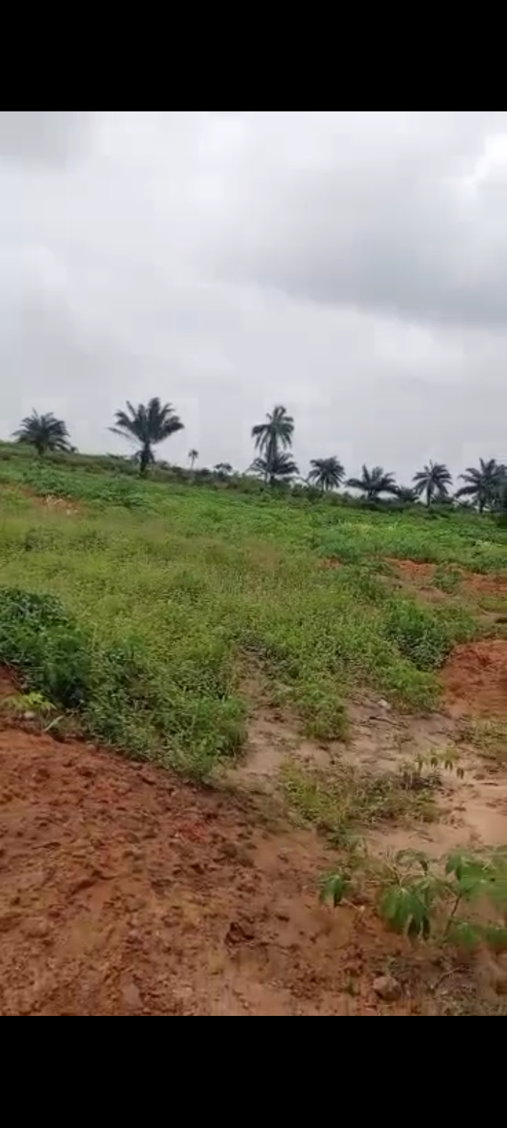 Land for Sale in Asaba, Delta cover picture