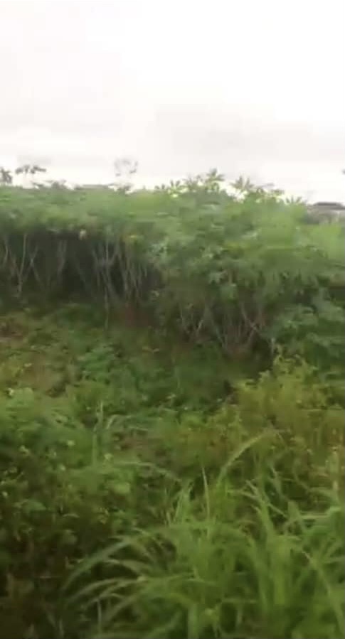 Land for Sale in Asaba, Delta cover picture