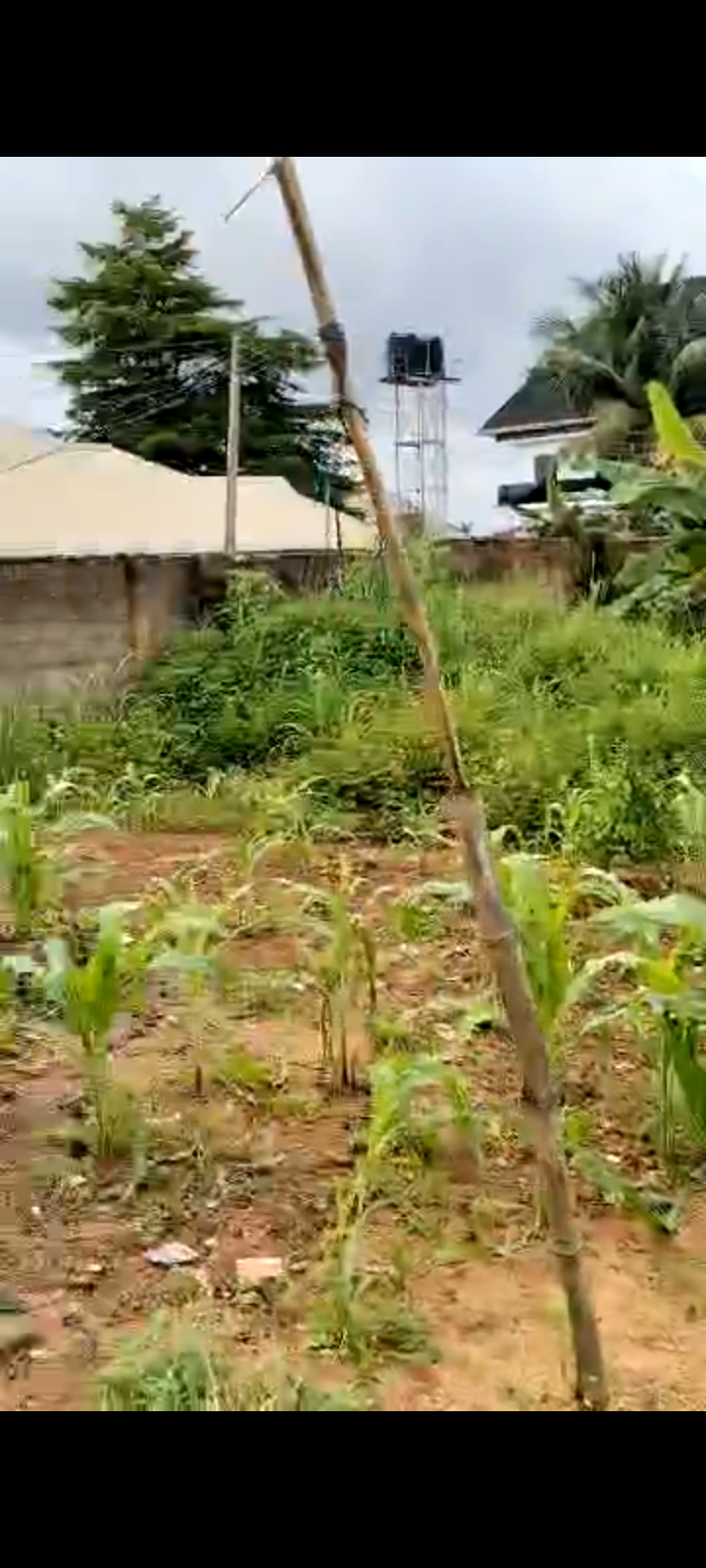 Land for Sale in Asaba, Delta cover picture