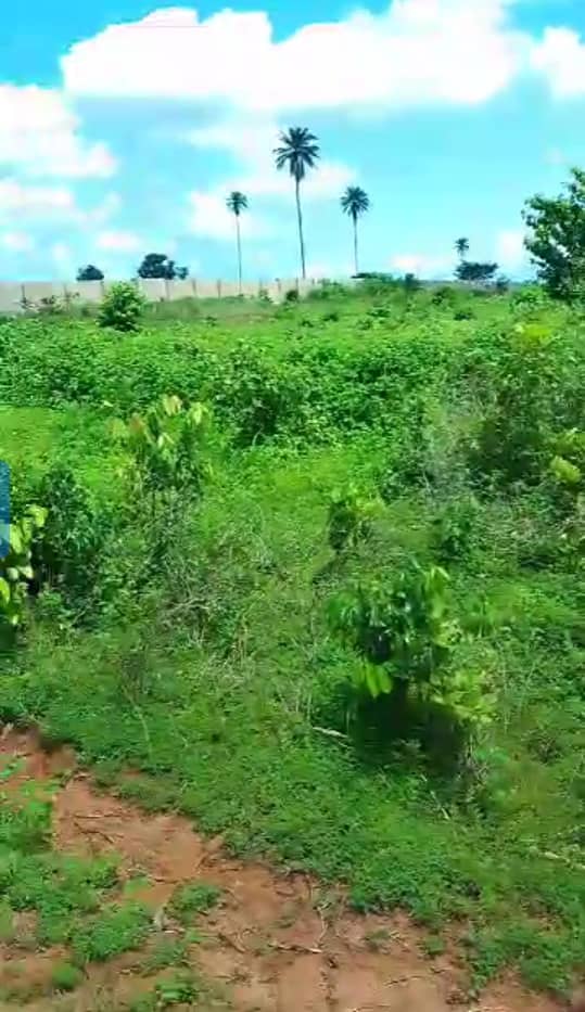 Land for Sale in Amachai, Delta cover picture