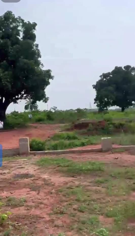 property cover photo