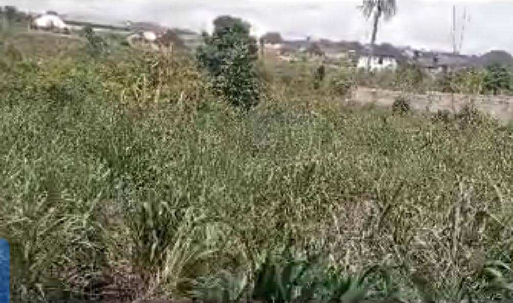 Land for Sale in Okpanam, Delta cover picture