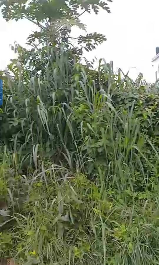 Land for Sale in Asaba, Delta cover picture