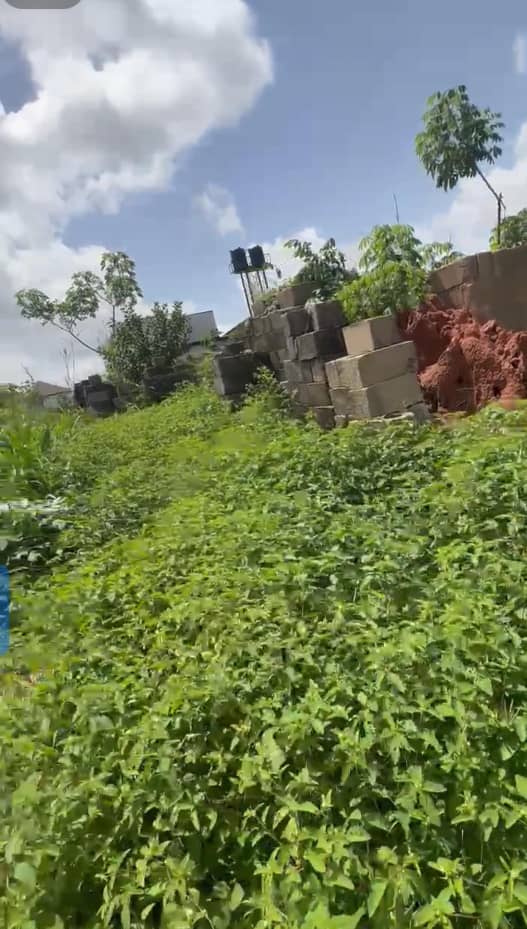 Land for Sale in Okpanam, Delta cover picture